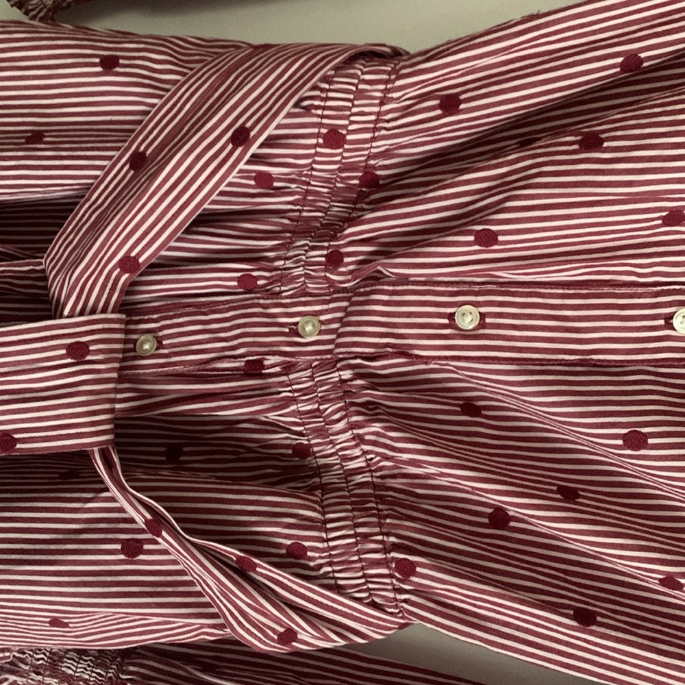 Free Assembly Polka Dot & Stripes Maroon Dress Size Small - Picture 6 of 8